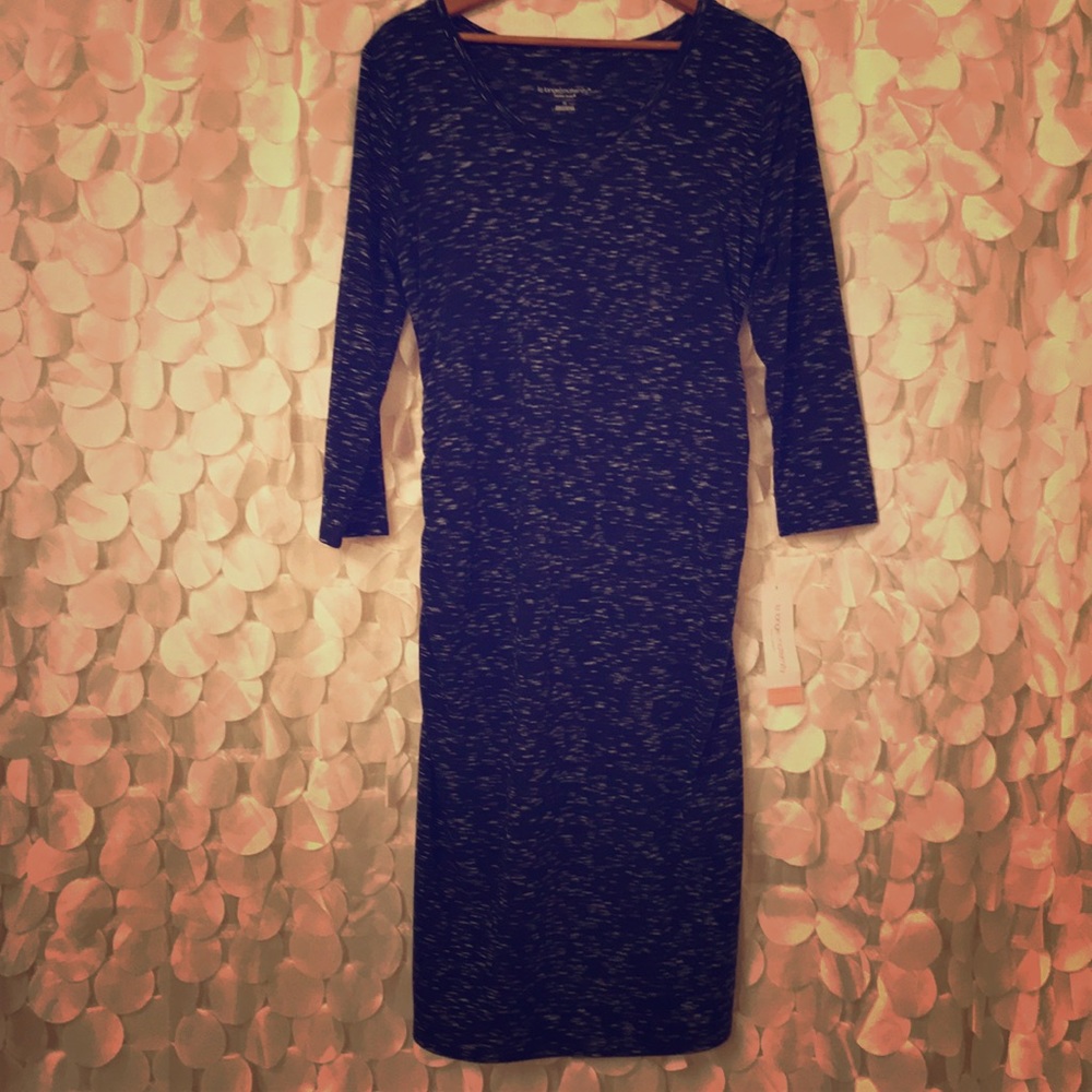 Brand New Liz Lange maternity dress